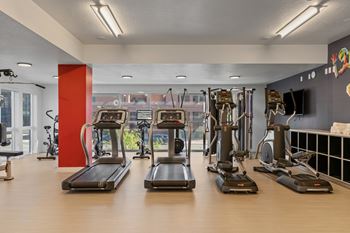 A gym with treadmills, elliptical machines, and other exercise equipment.